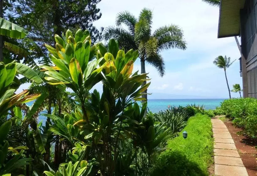 Mahina Surf