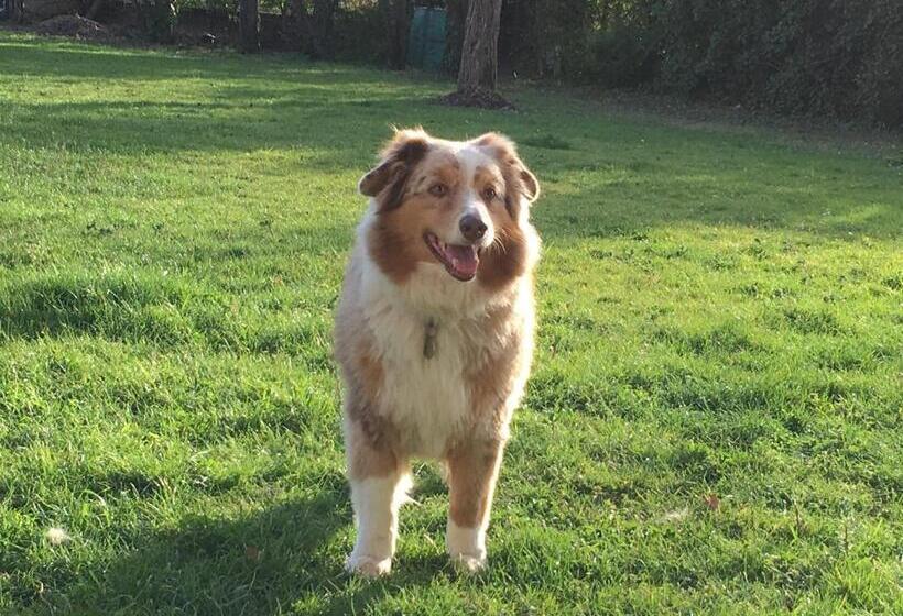 פנסיון Chez Dan Et Véro   Chambre D Hôte