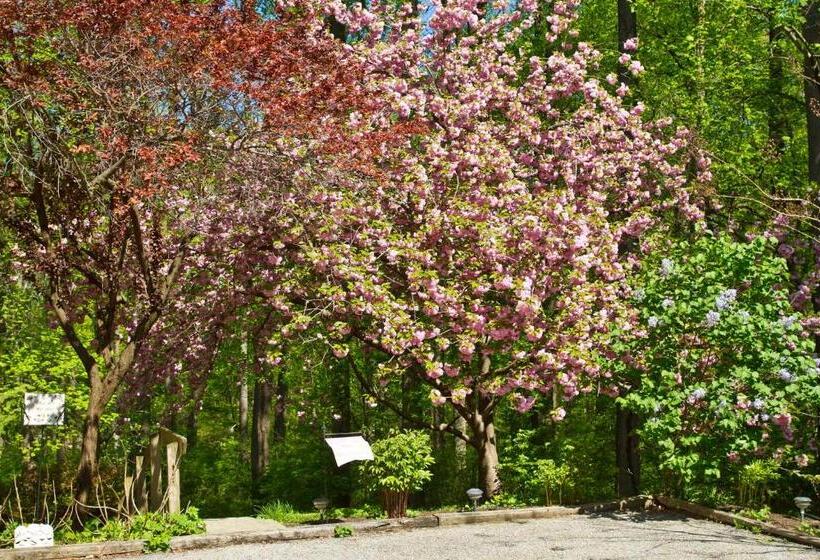 Pilgrim's Rest Bed And Breakfast