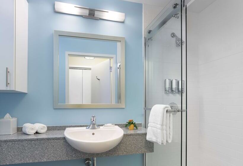 Sonesta Es Suites New Orleans Downtown