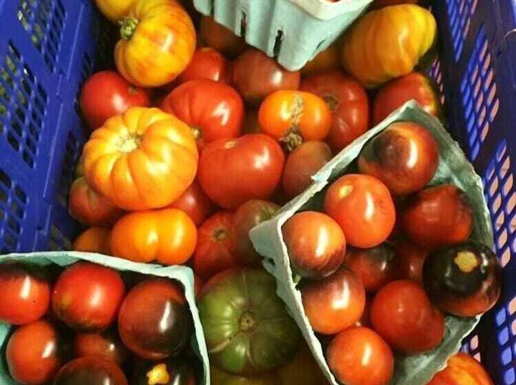 The Peter Herdic Inn