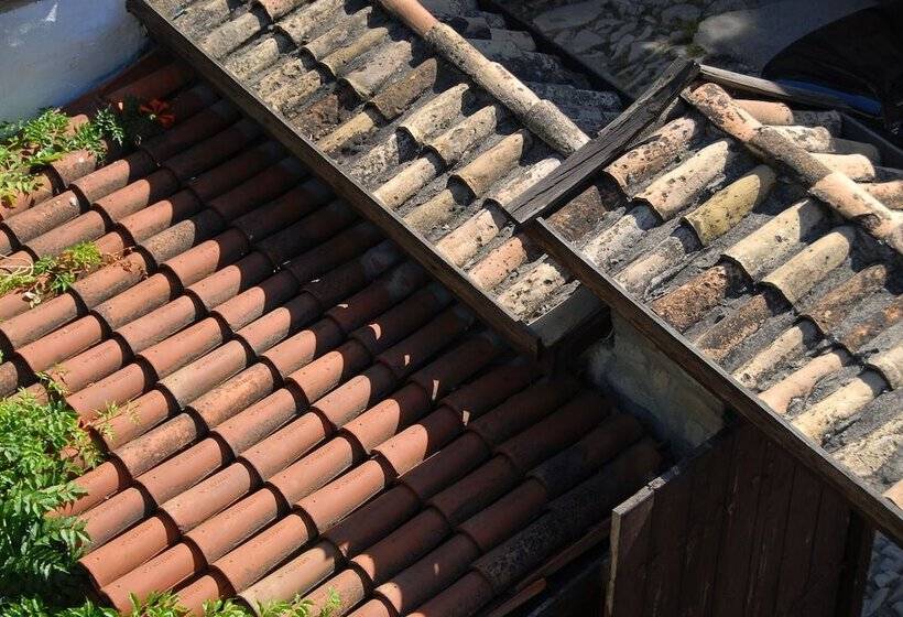 בית מלון כפרי Mehves Hanim Konagi