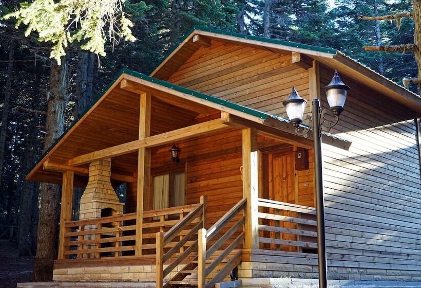 Karinna Forest Houses