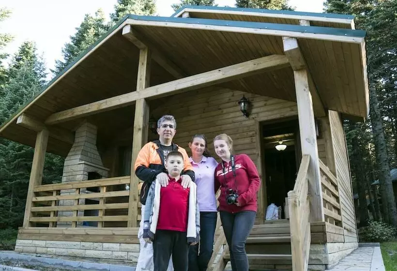 Karinna Forest Houses