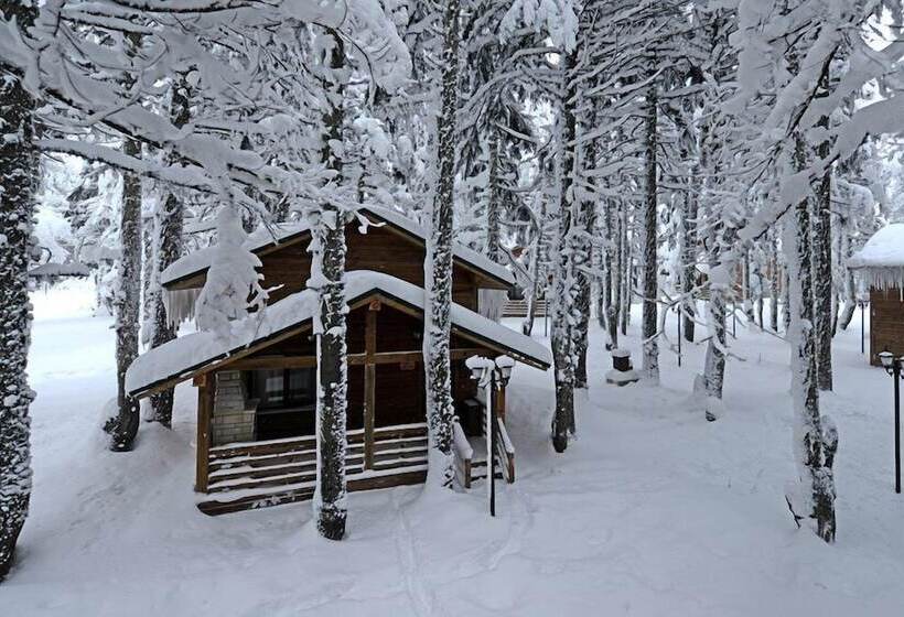 Karinna Forest Houses