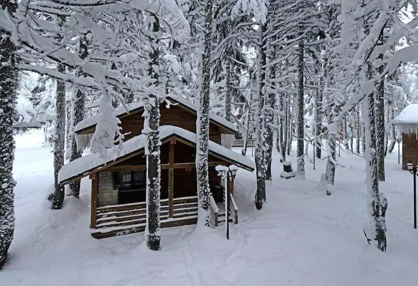 Karinna Forest Houses