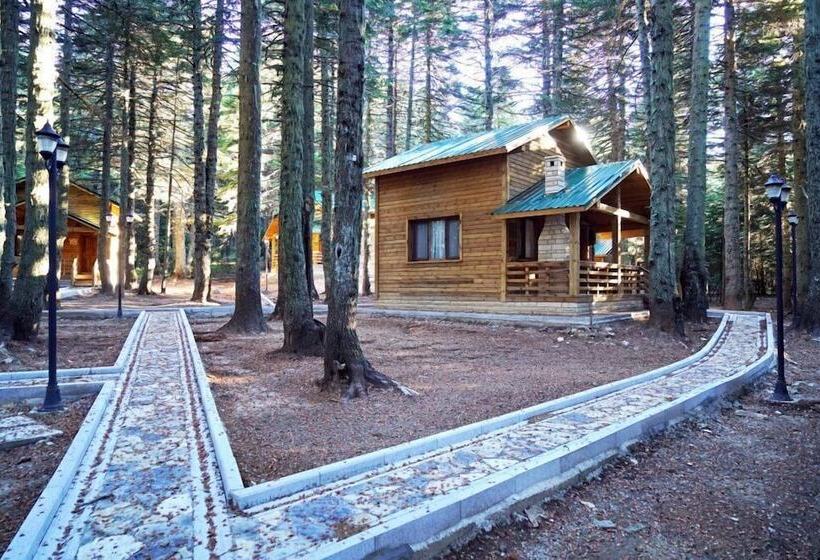 Karinna Forest Houses