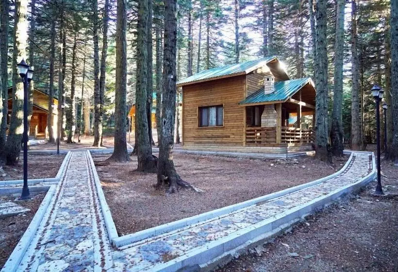 Karinna Forest Houses