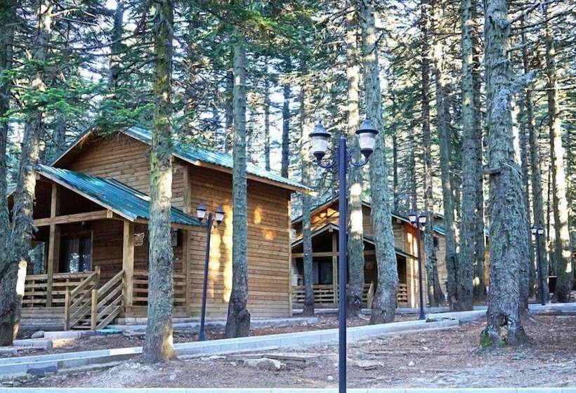 Karinna Forest Houses