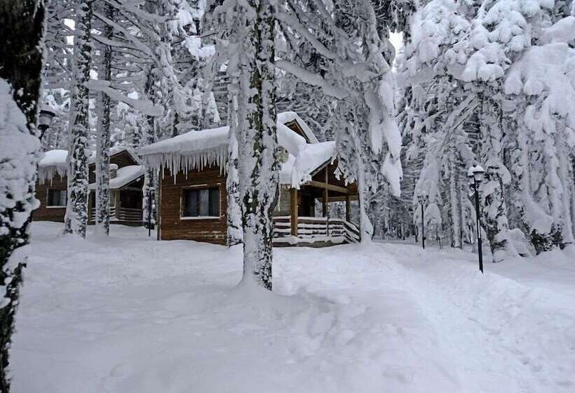 Karinna Forest Houses