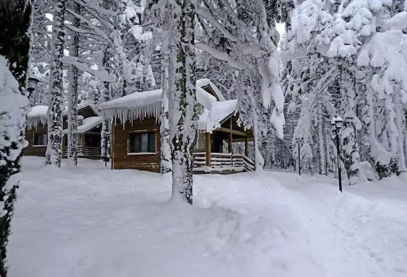 Karinna Forest Houses