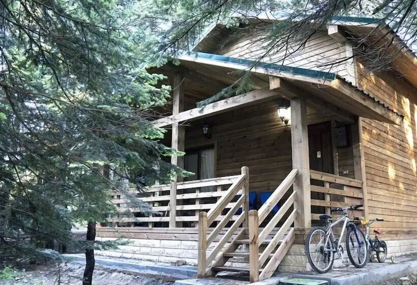 Karinna Forest Houses