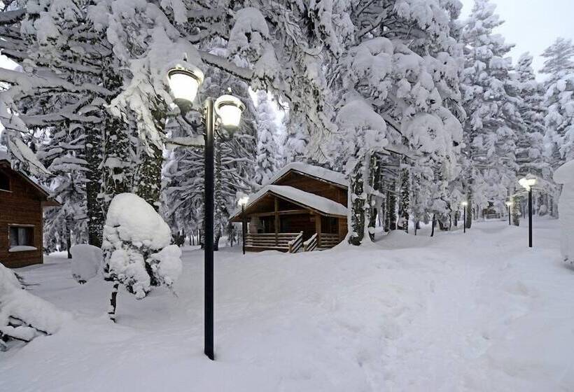 Karinna Forest Houses