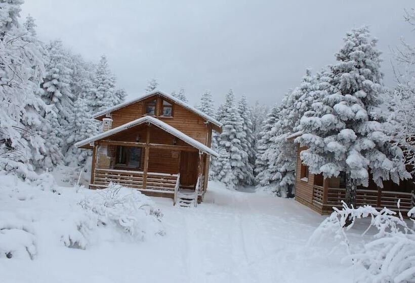 Karinna Forest Houses