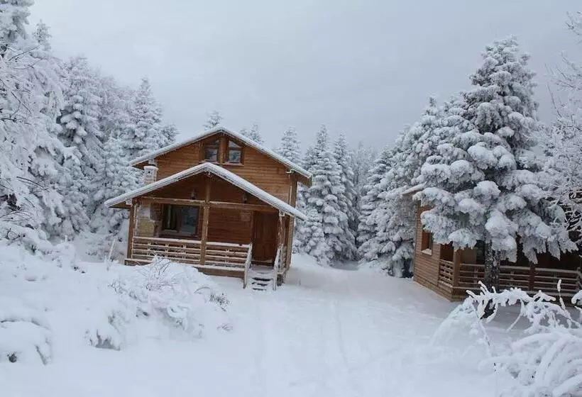 Karinna Forest Houses