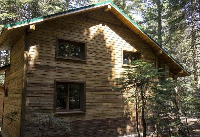 Karinna Forest Houses