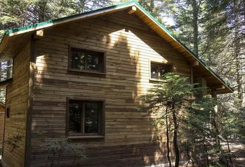 Karinna Forest Houses