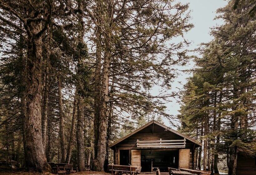 Karinna Forest Houses