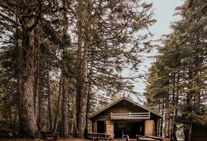 Karinna Forest Houses