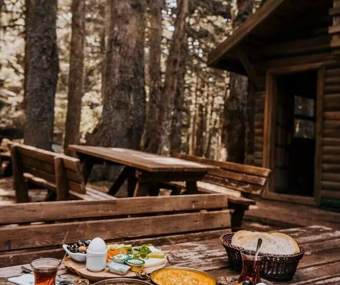 Karinna Forest Houses