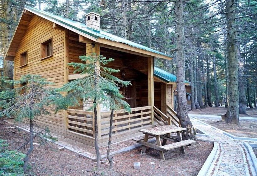 Karinna Forest Houses