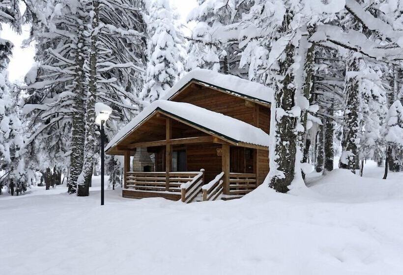 Karinna Forest Houses