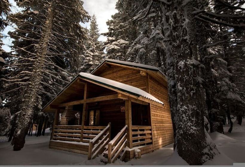 Karinna Forest Houses