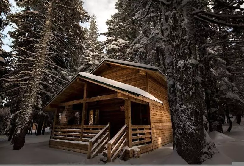 Karinna Forest Houses