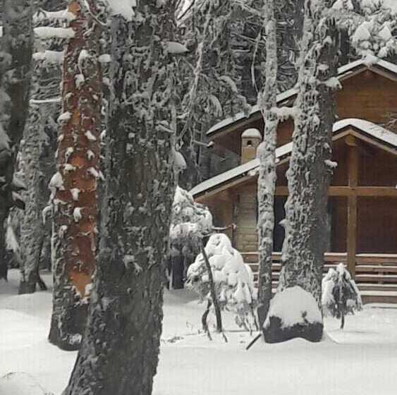 Karinna Forest Houses