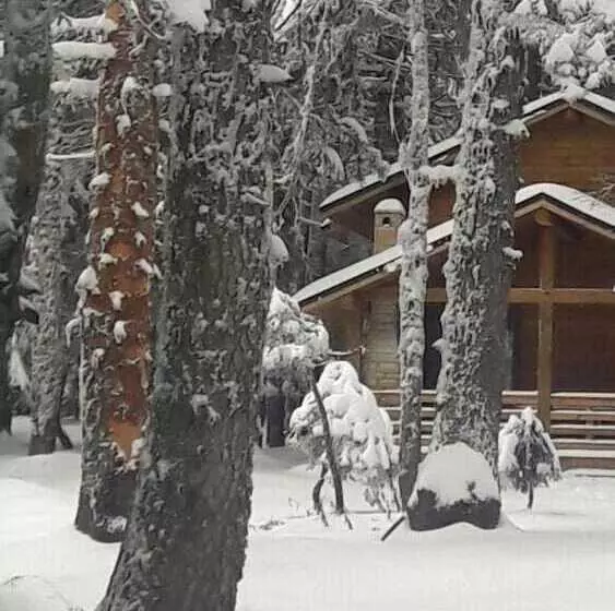 Karinna Forest Houses