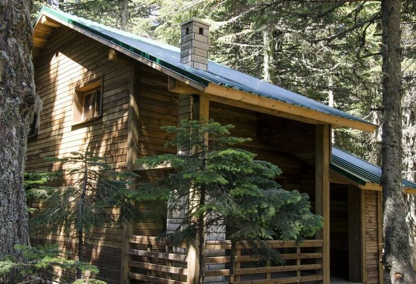 Karinna Forest Houses