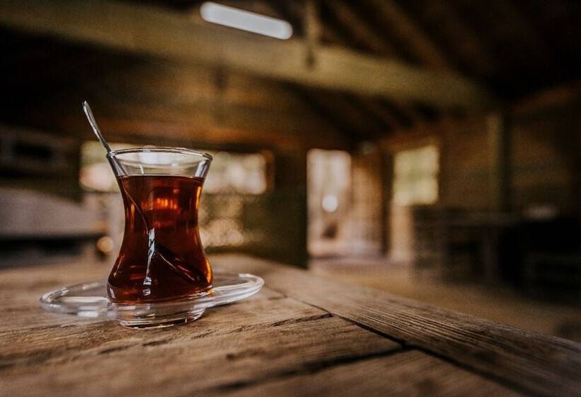 Karinna Forest Houses