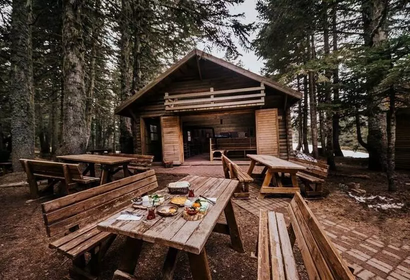 Karinna Forest Houses