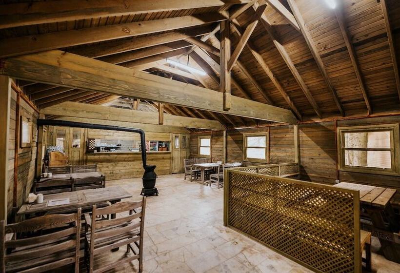 Karinna Forest Houses