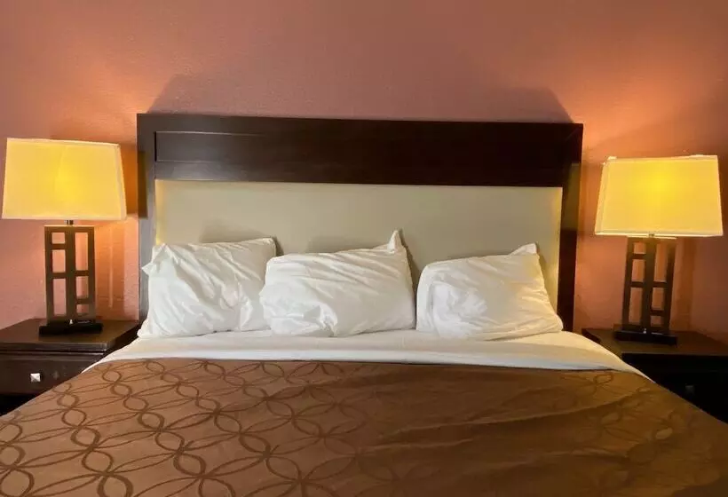 مُتل Express Inn