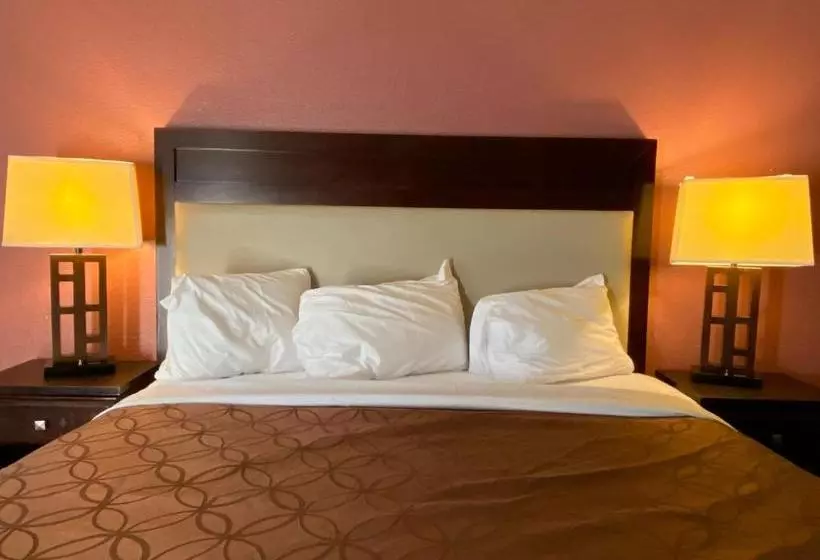 مُتل Express Inn