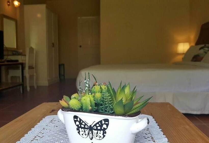 בית מלון כפרי Palazzo Pavone Gallery & Resort