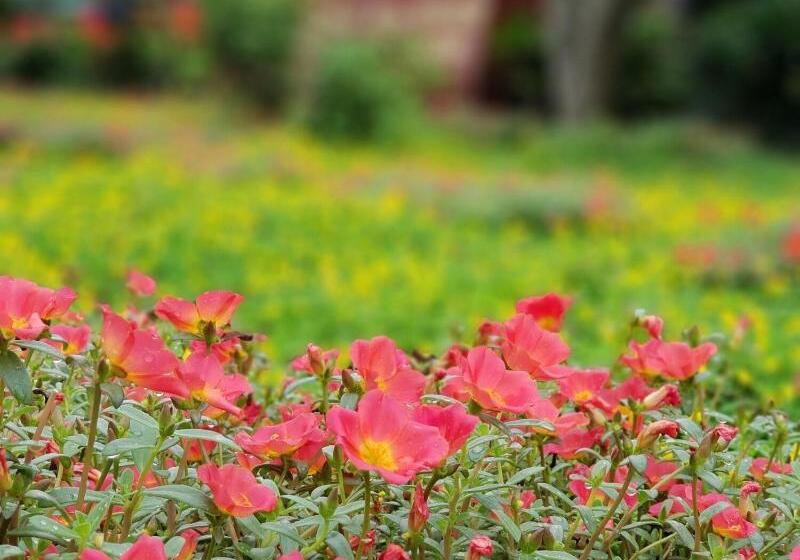 هتل Phu Cuong Beach