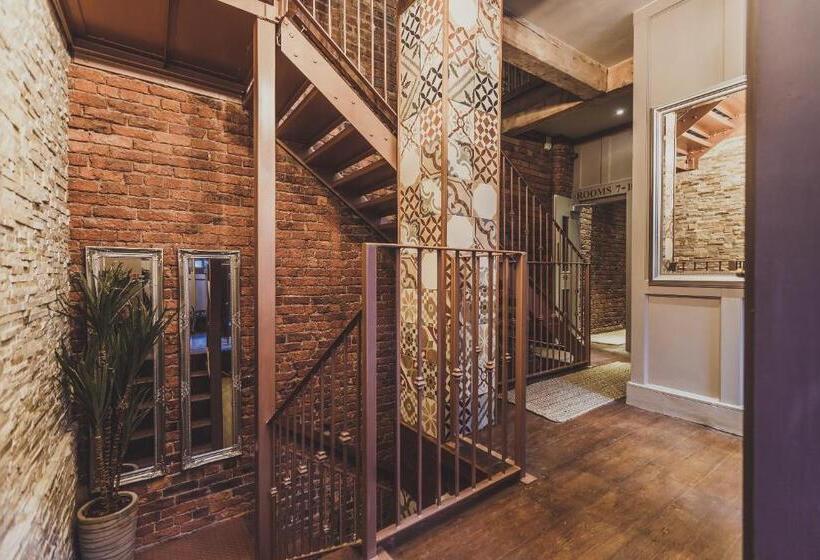 هتل The Cow Hollow