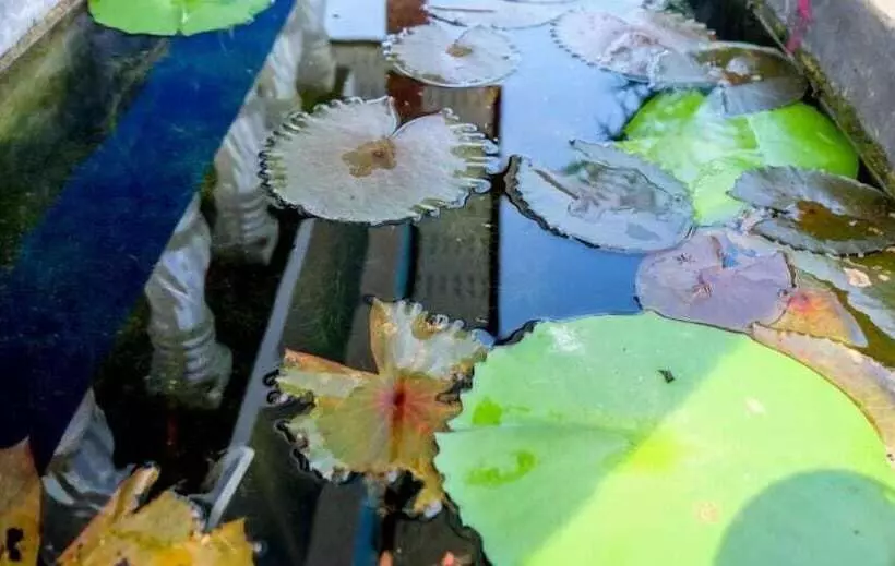 Hotelli Theppahrak Home