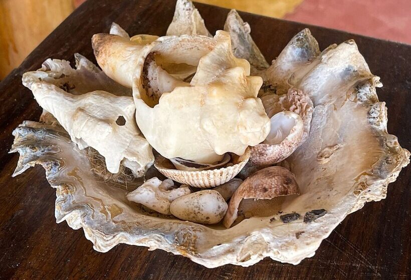 פנסיון Kibanda Lodge And Beach Club