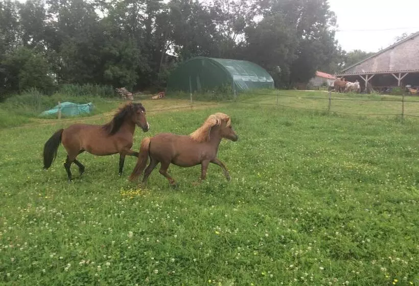 ペンション La Grange D'oustaud