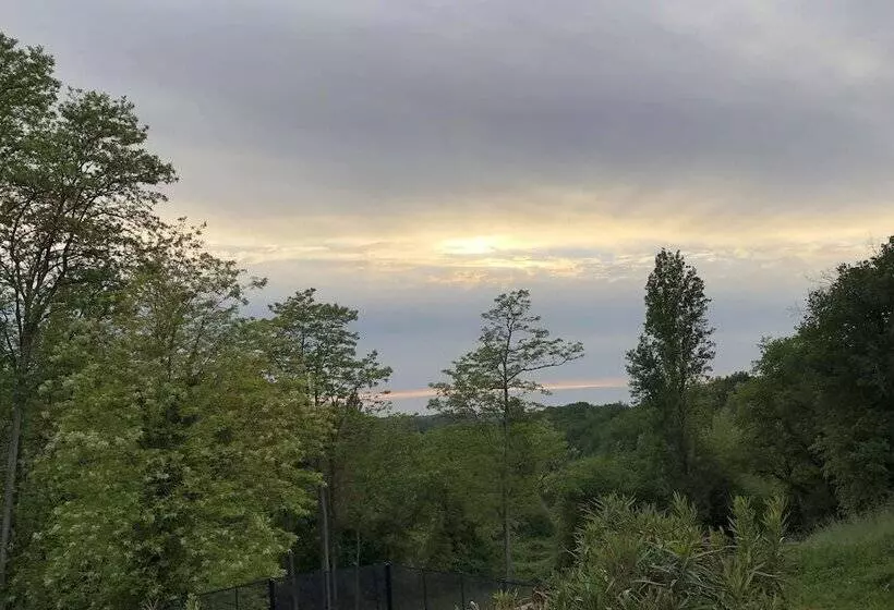 Majatalo L'îlot Vignes