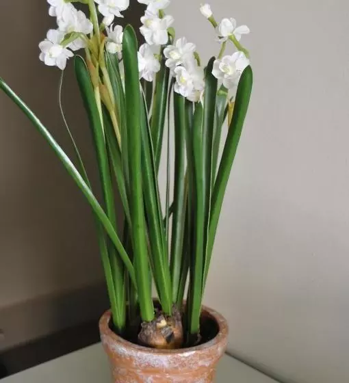 ベッドアンドブレックファースト The Red Lion Inn