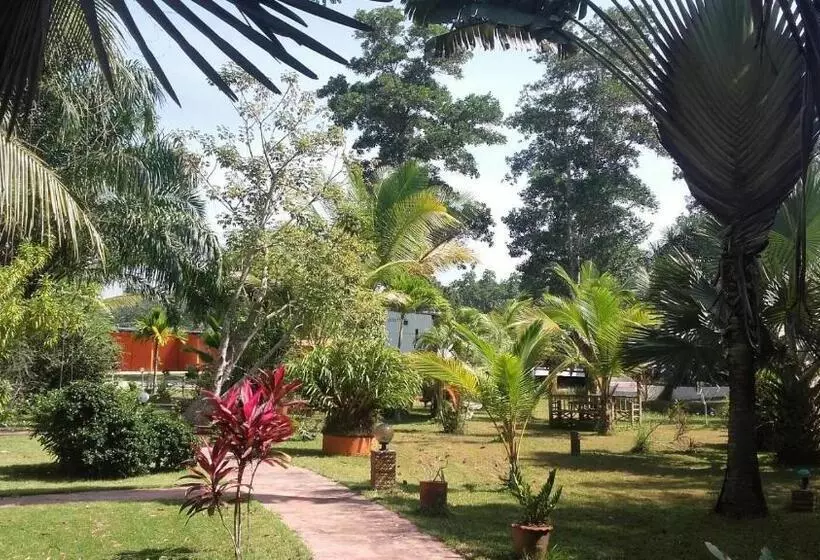 ホテル Beautiful Flower Resort