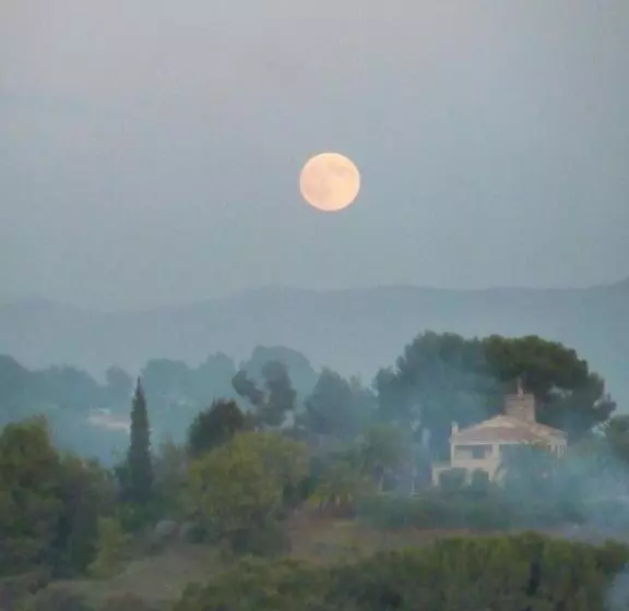 Majatalo La Maison Aux Bonsais