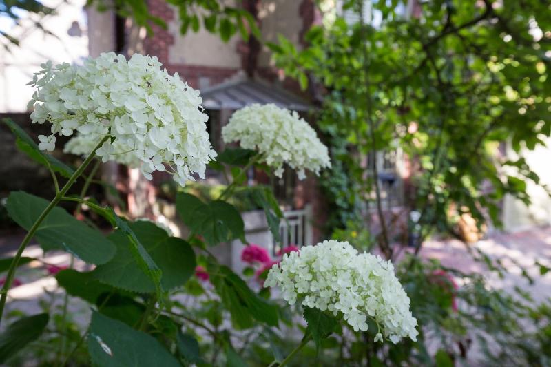 膳宿费 La Maison Du Parc