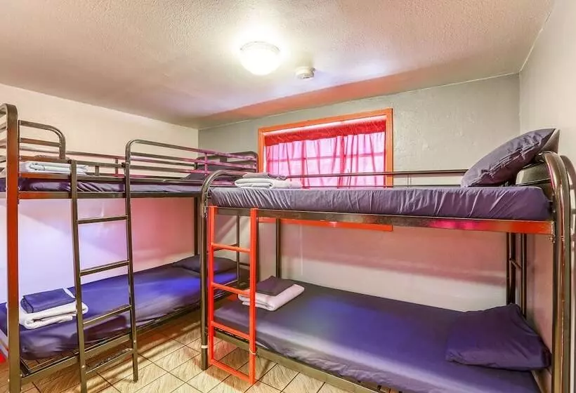 Sin City Hostel