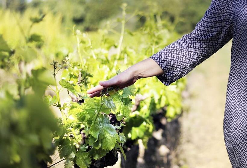 Bed and Breakfast A Travers Champs