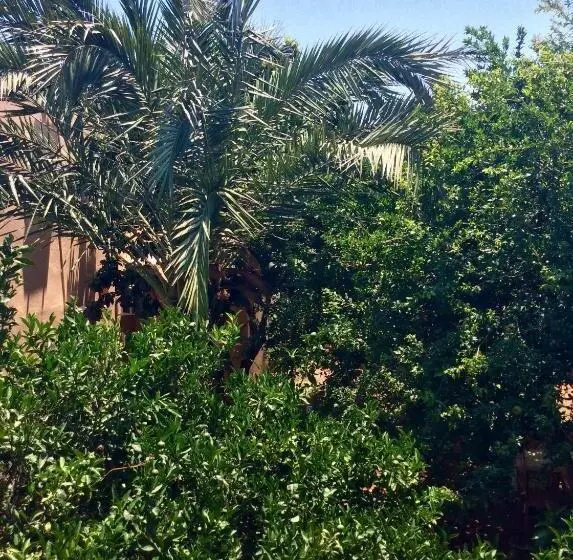 Palm Konak